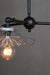 Charmont black Glass Chandelier with glass shades
