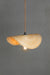 Coast Bamboo Pendant Light with jute cord and large bulb