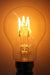 Tri loop light bulb. unique filament design bulb. buy led light bulbs online