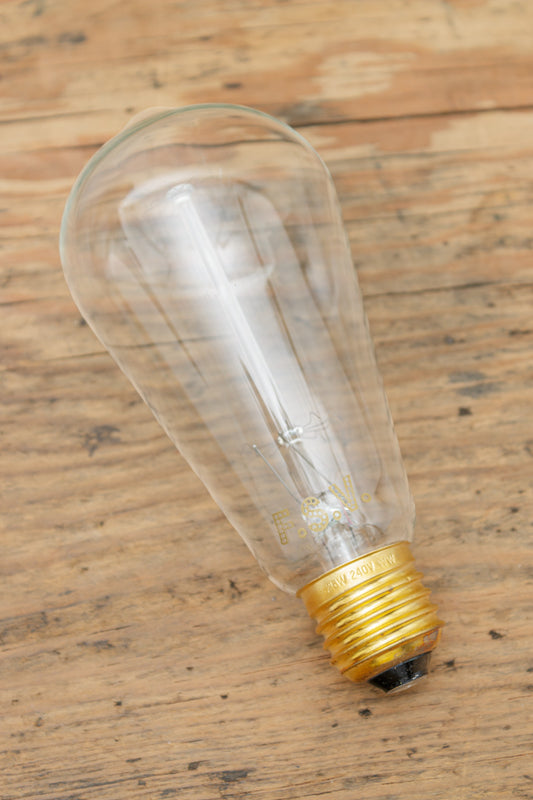 Edison light bulb squirrel cage filament E27