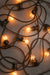 festoon lights on commerical string