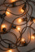 festoon lights on commerical string