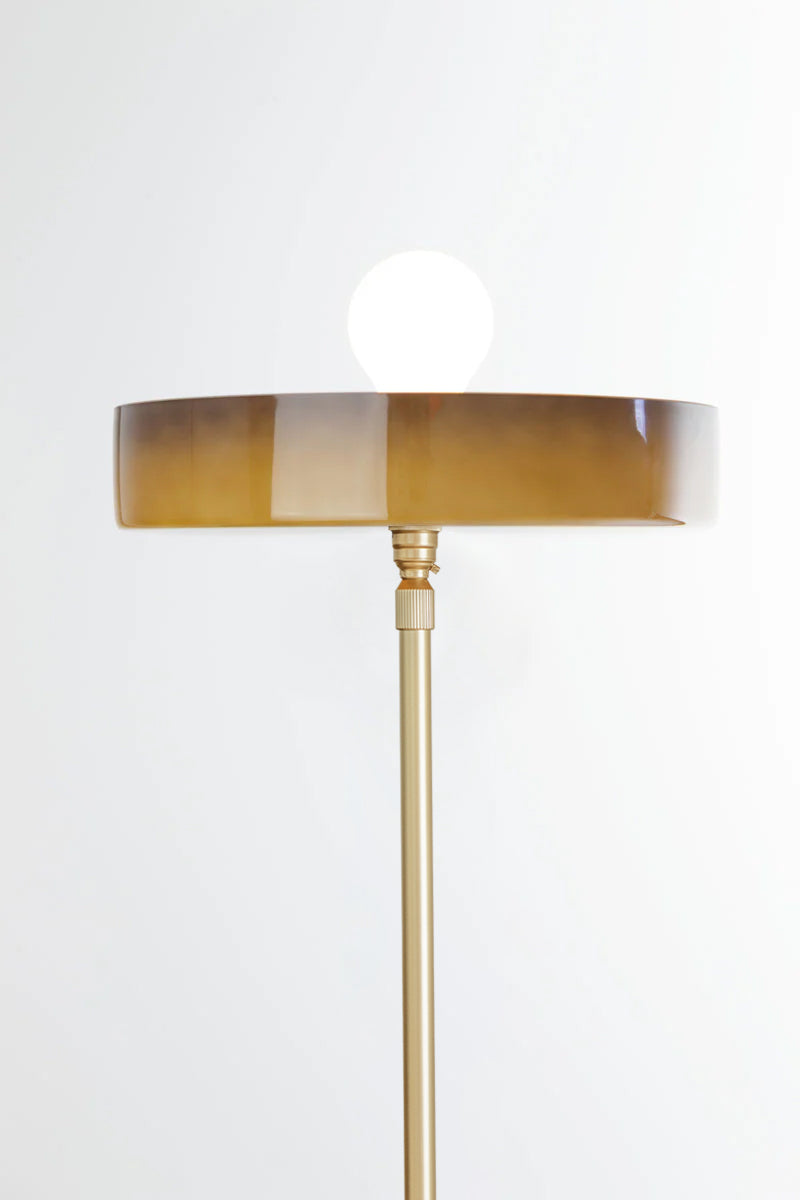 retro-inspired floor lamp with sage shade and gold brass base