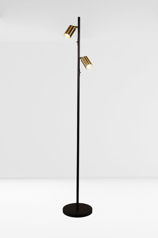 Black two light floor lamp with satin brass adjustable spot heads.