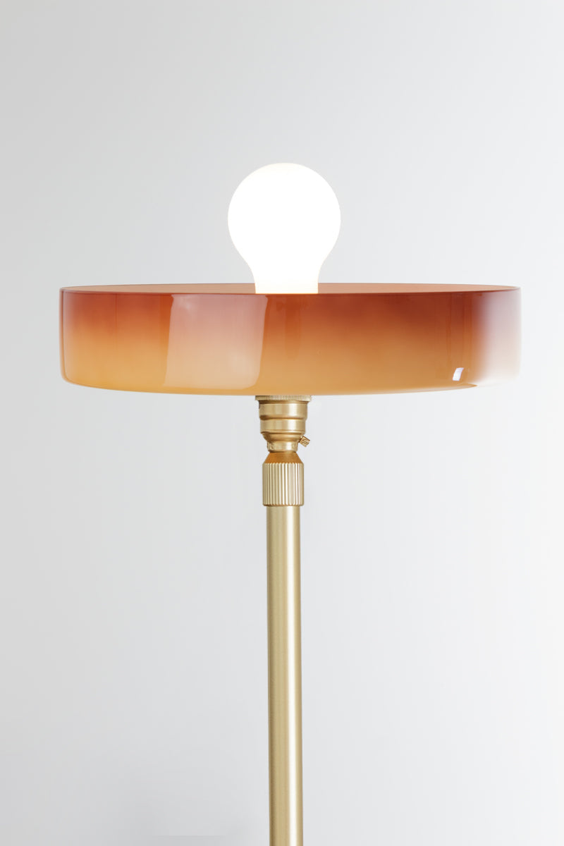 Brown Gambier shade on a gold/brass floor lamp stand
