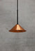 small copper shade on black fixture