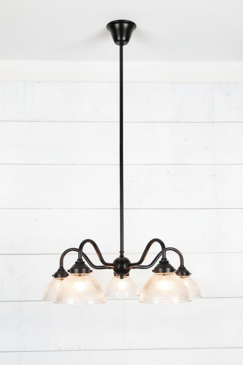 5 clear glass shades on a black gooseneck frame. 