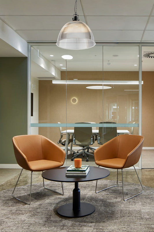 Large clear prismatic dome shade, with black industrial stile chain pendant hanging in a meeting room of an office space.