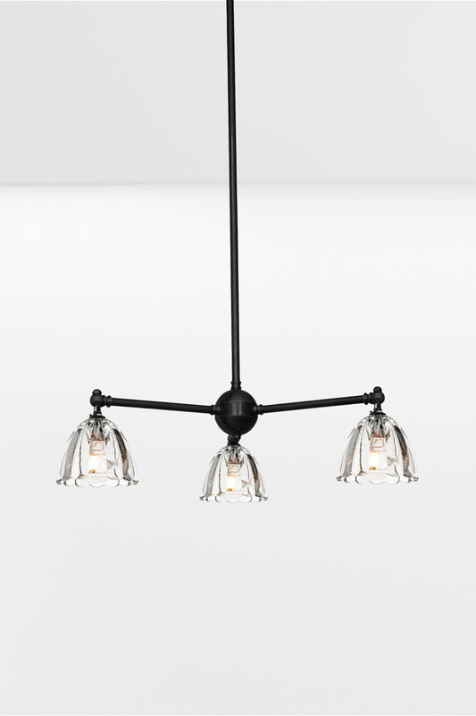 Black 3 arm chandelier with tiltable lampholders, paired with 3 clear glass shades. 
