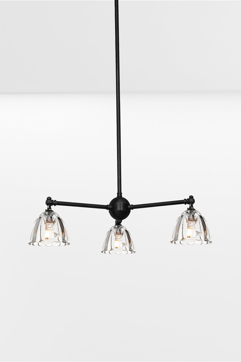 Black 3 arm chandelier with tiltable lampholders, paired with 3 clear glass shades. 