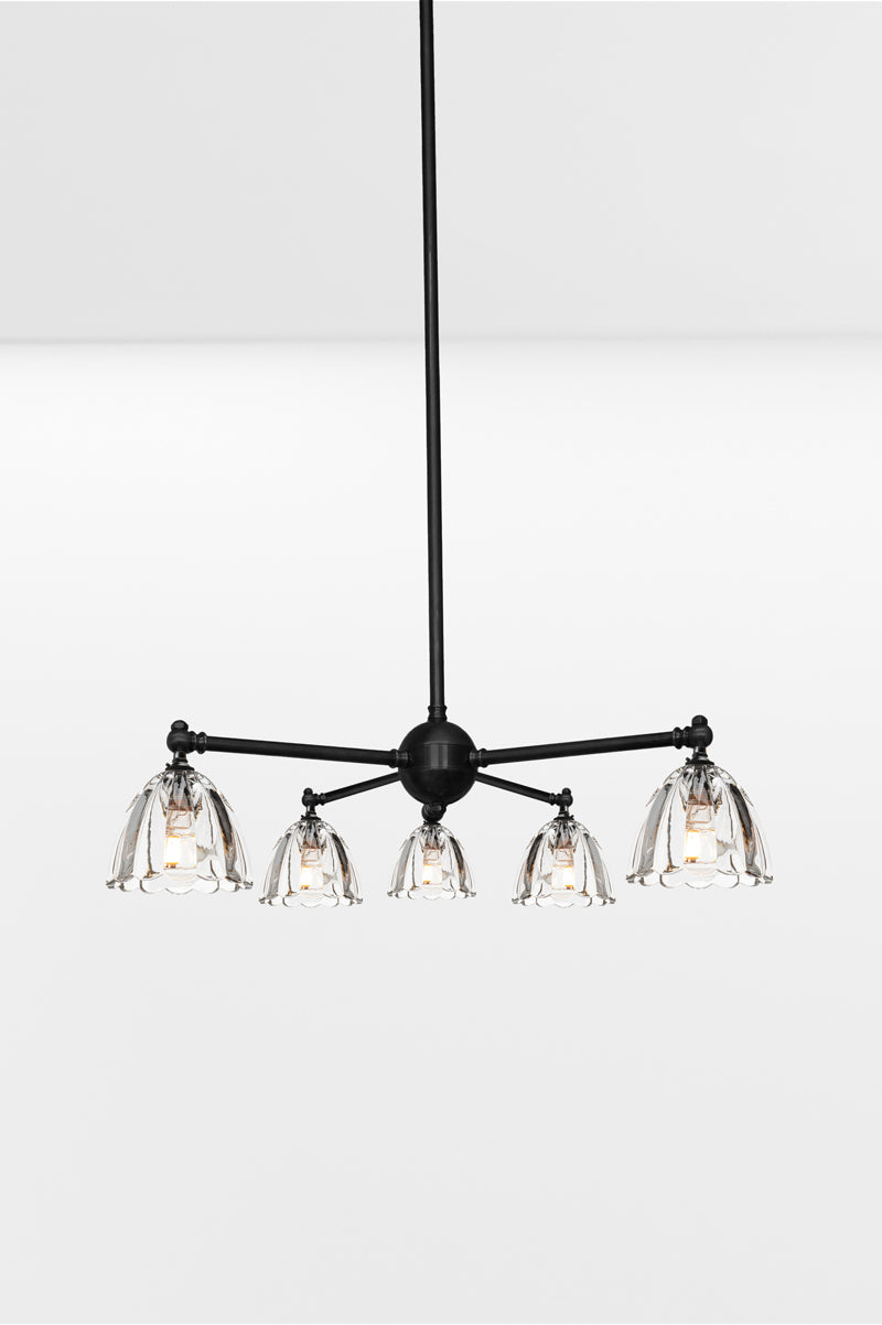 Black 5 arm chandelier with tiltable lampholders, paired with 5 clear glass shades. 