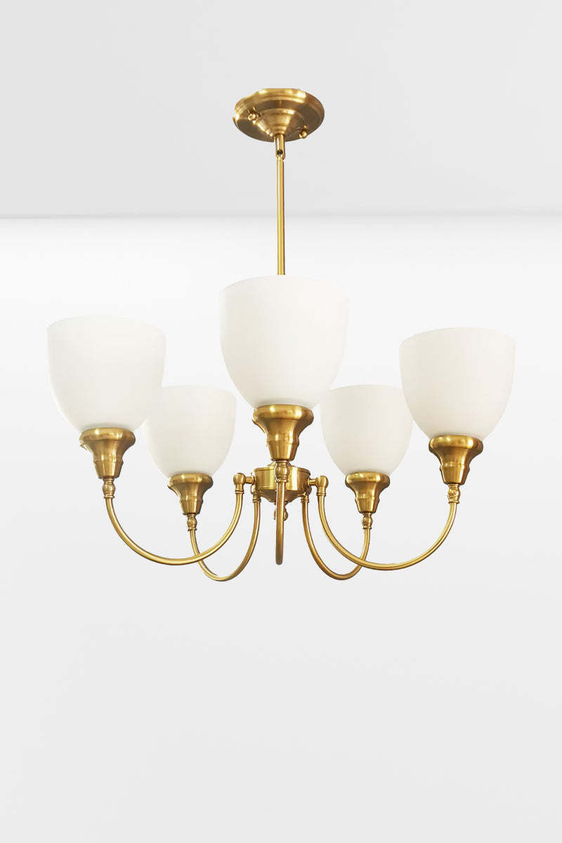 Satin Brass five light light chandelier upright.