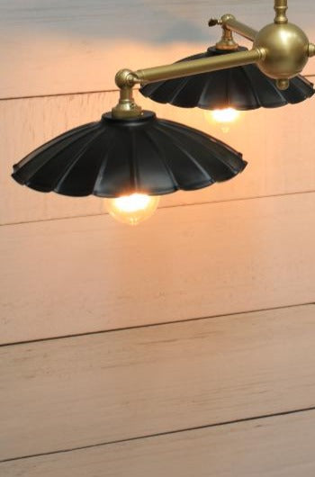 black shades and gold steel fixture