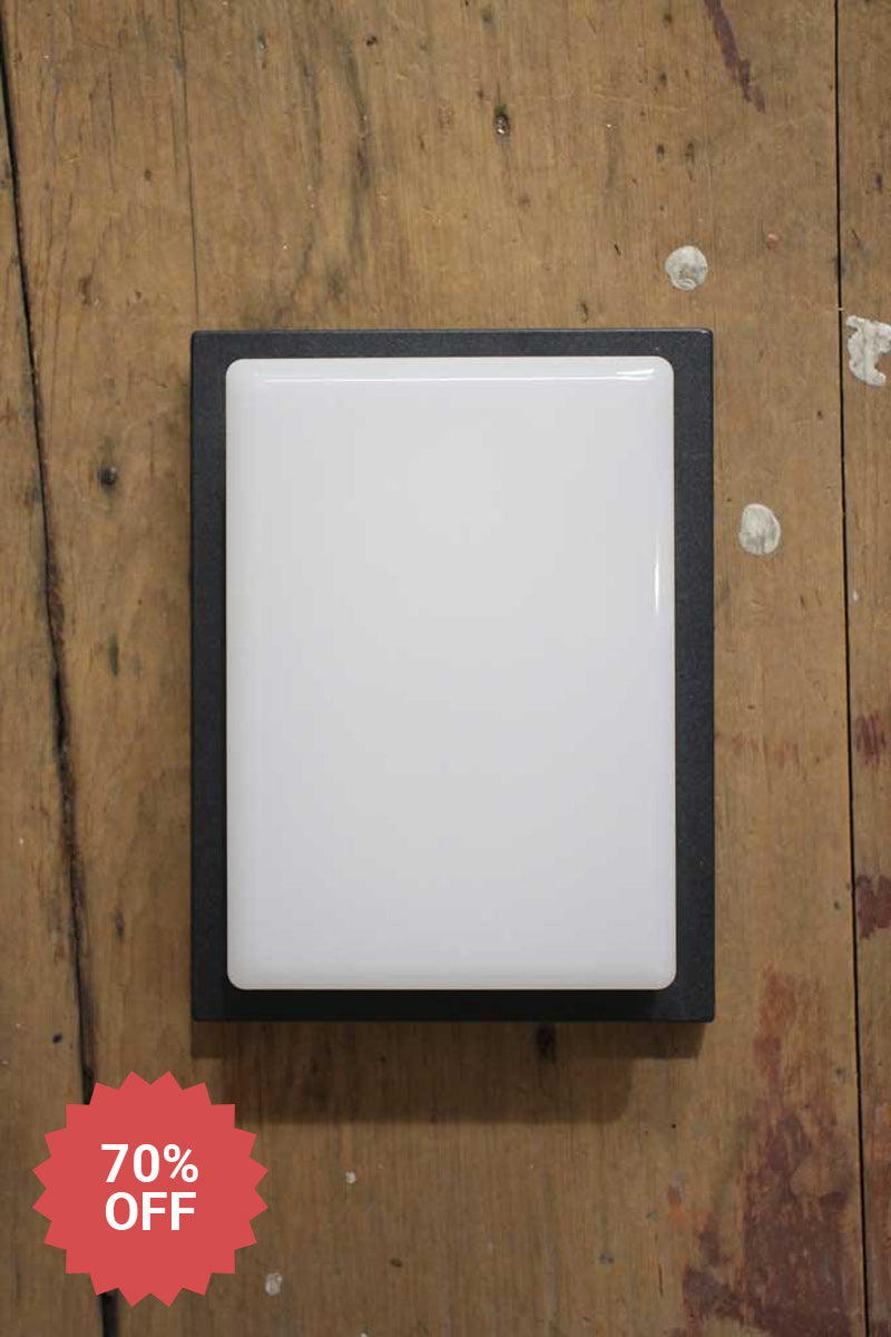 Small outdoor wall light with opal finish