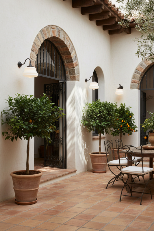 Outdoor covered patio area with white walls, terracotta tiles, and potted plants.