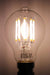 6W Filament LED A19 3000K Dimmable Bulb