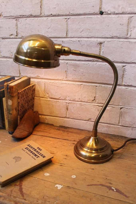 Adjustable task light with flexible goose neck arm and an old brass finish