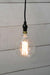 Black pendant cord with bulb