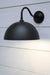 Black dome wall light with brass gooseneck sconce
