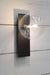 Clear glass wall light with black face plate