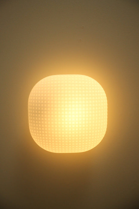 Burlington wall light. oyster lights for fitouts or