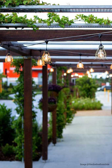 Festoon Lights - Outdoor String Lights with Cages in an outdoor setting