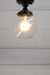 Clear small glass ball ceiling light