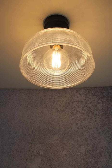 Close to ceiling lights are ideal for small interiors. has a lage shade
