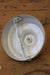 Curved ceiling rose white metal use for pendant lights