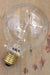 Edison bulb large round squirrel cage filament 25w