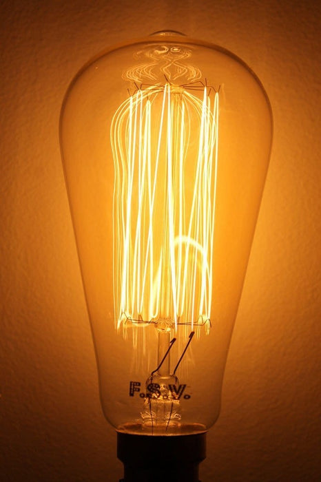 Edison light bulb squirrel cage filament
