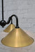 3 light gooseneck chandelier with brass shades