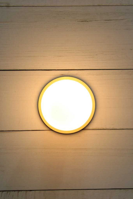 Glass Ball Disc Wall Light medium poal shade with small gold disc