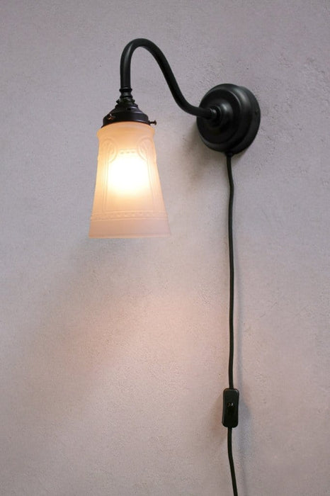Gooseneck wall light with wall plug