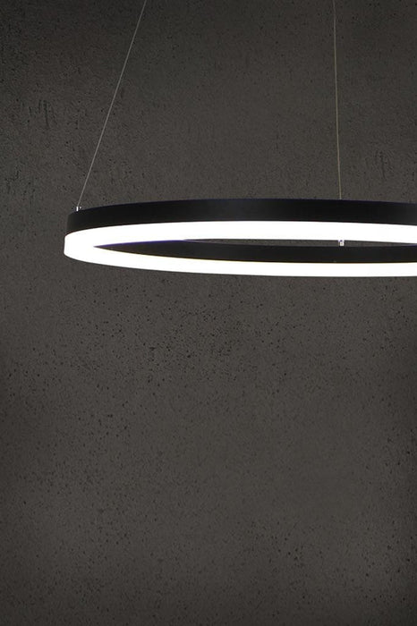 Hoop pendant light with stainless steel cables