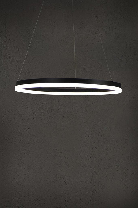 Hoop pendant light with built-in LED