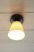 Ceiling light with black base and small ceramic shade