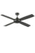 Ceiling fan with black finish. 
