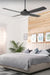 Black ceiling fan within a bedroom setting. 