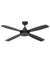 Black ceiling fan with ABS blades