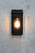 front view of lantern light with teardrop bulb