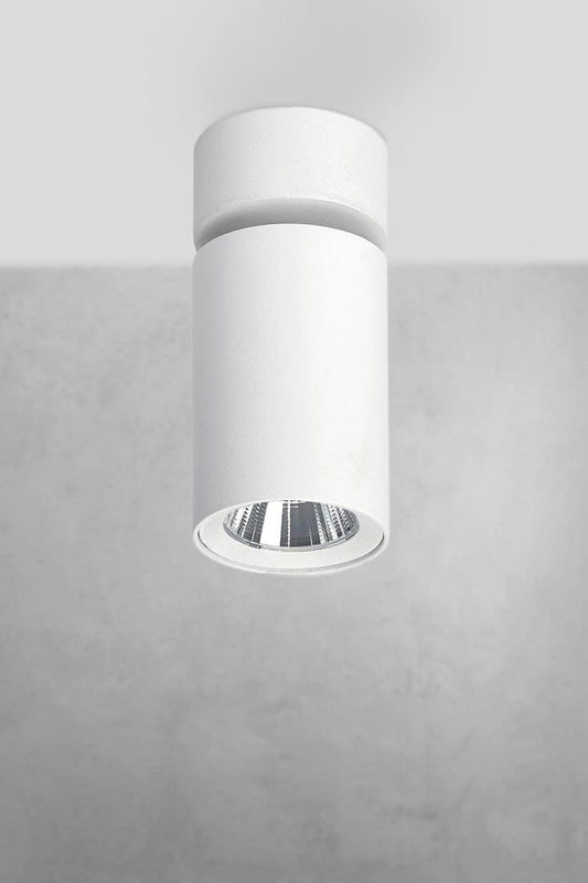 White downlight/spotlight tilting downwards.