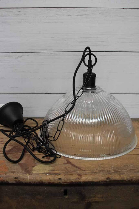trunk shot dome glass shade with chain and cord suspension